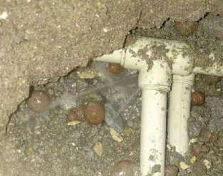 台儿庄卫生间防水的报价